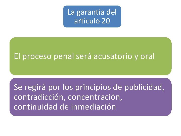 La garantía del artículo 20 El proceso penal será acusatorio y oral Se regirá