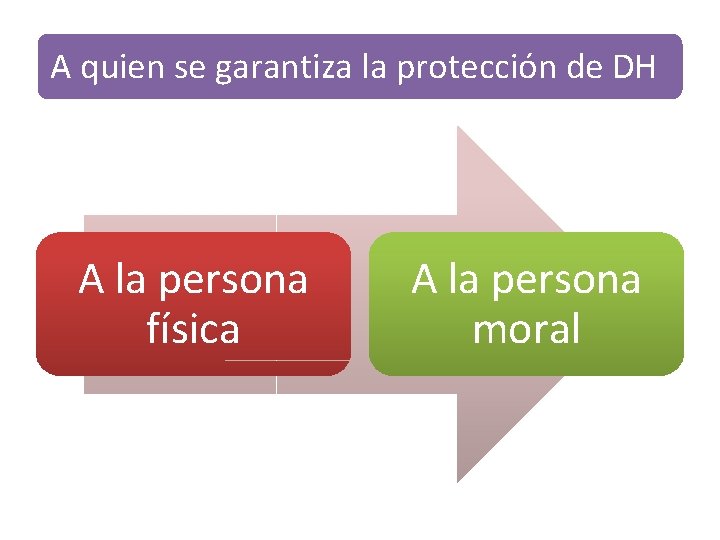 A quien se garantiza la protección de DH A la persona física A la