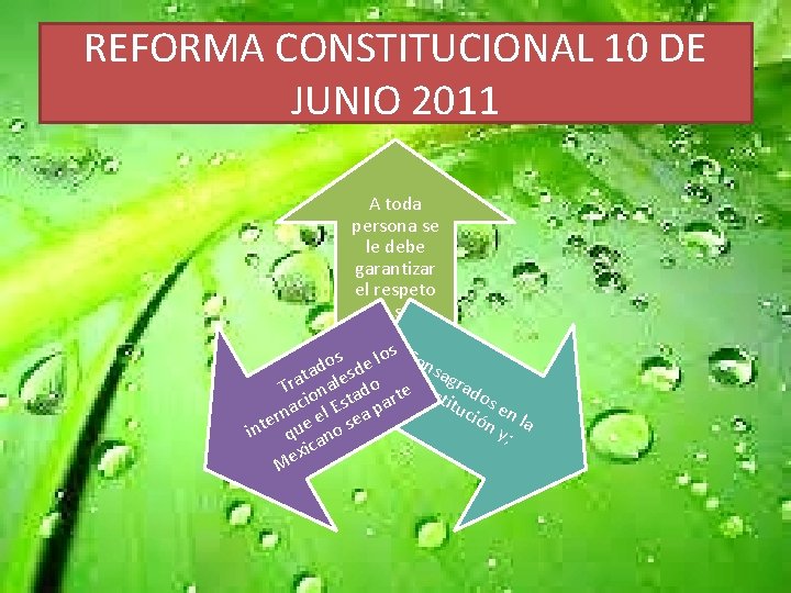 REFORMA CONSTITUCIONAL 10 DE JUNIO 2011 A toda persona se le debe garantizar el