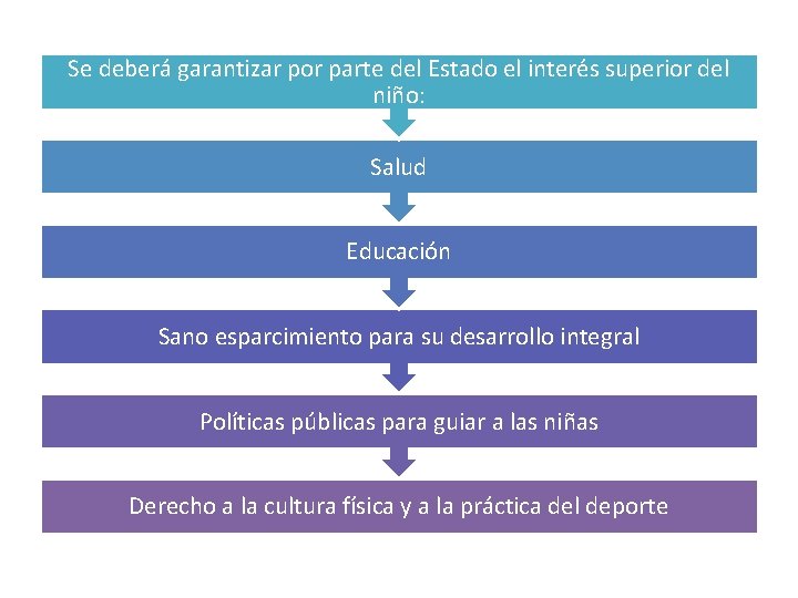 Se deberá garantizar por parte del Estado el interés superior del niño: Salud Educación