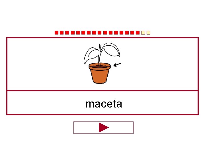 maceta 