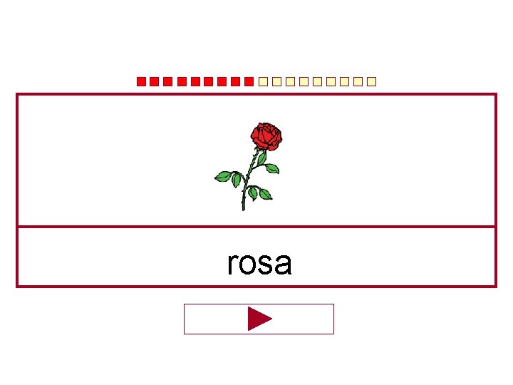 rosa 