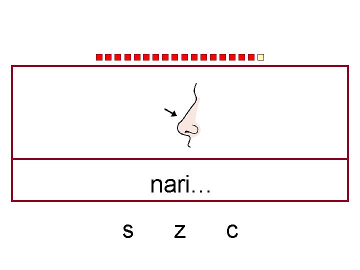 nari… s z c 