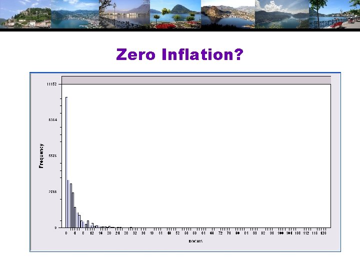 Zero Inflation? 