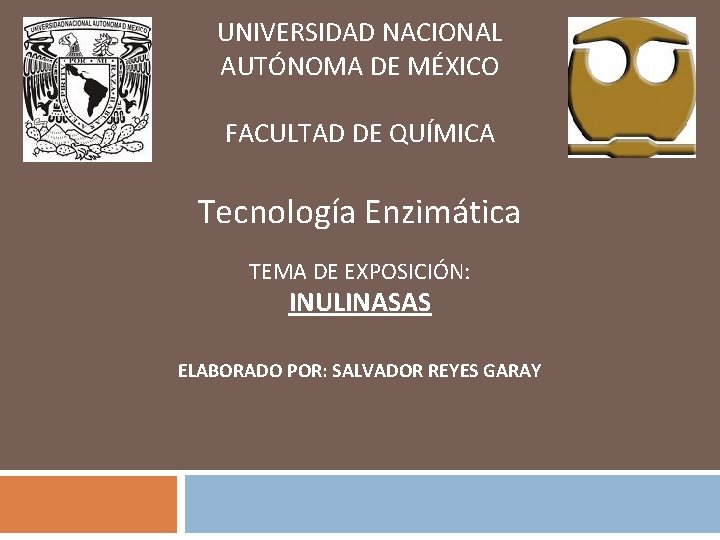 UNIVERSIDAD NACIONAL AUTÓNOMA DE MÉXICO FACULTAD DE QUÍMICA Tecnología Enzimática TEMA DE EXPOSICIÓN: INULINASAS UNIVERSIDAD NACIONAL AUTÓNOMA DE MÉXICO FACULTAD DE QUÍMICA Tecnología Enzimática TEMA DE EXPOSICIÓN: INULINASAS