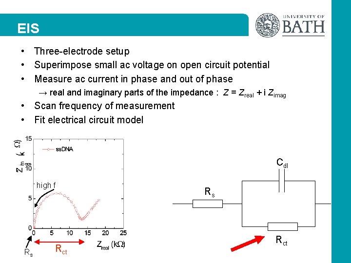 EIS • Three-electrode setup • Superimpose small ac voltage on open circuit potential •