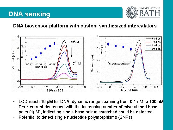 DNA sensing DNA biosensor platform with custom synthesized intercalators • LOD reach 10 p.