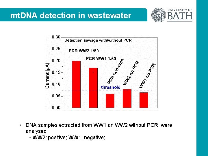 mt. DNA detection in wastewater • DNA samples extracted from WW 1 an WW