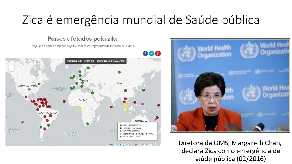 Zica é emergência mundial de Saúde pública Diretora da OMS, Margareth Chan, declara Zica