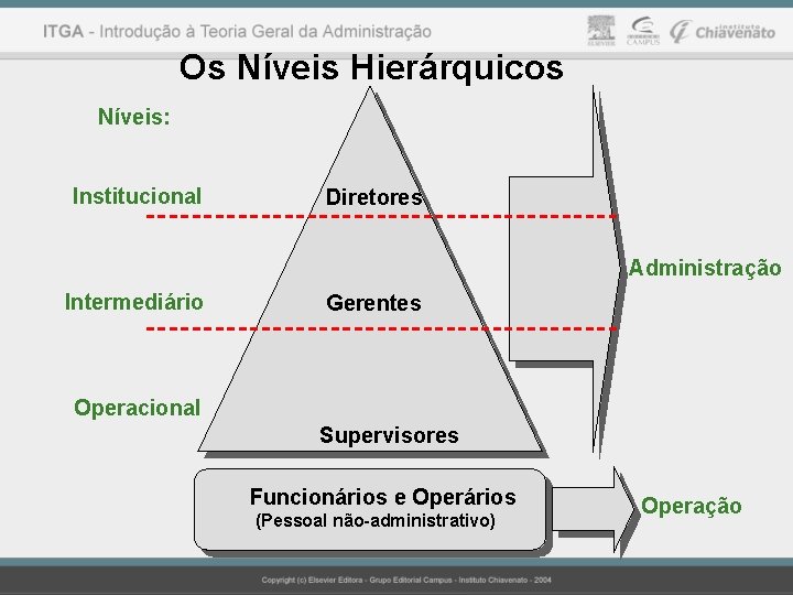Os Níveis Hierárquicos Níveis: Institucional Diretores Administração Intermediário Gerentes Operacional Supervisores Funcionários Operários Funcionários