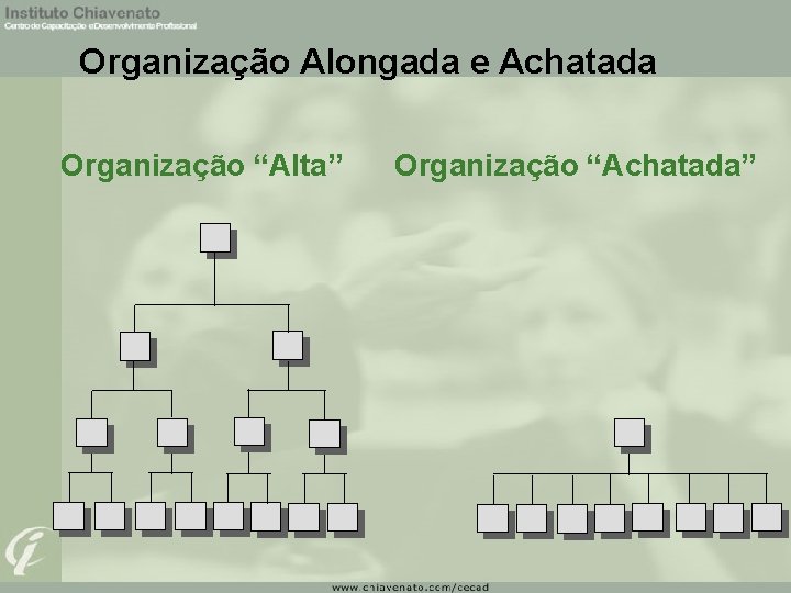 Organização Alongada e Achatada Organização “Alta” Organização “Achatada” 