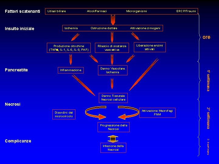 Fattori scatenanti Insulto iniziale Litiasi biliare Alcol/Farmaci Ischemia Microrganismi Ostruzione duttale ERCP/Traumi Attivazione zimogeni