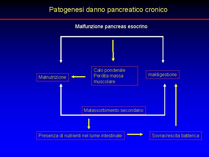 Patogenesi danno pancreatico cronico Malfunzione pancreas esocrino Malnutrizione Calo ponderale Perdita massa muscolare maldigestione