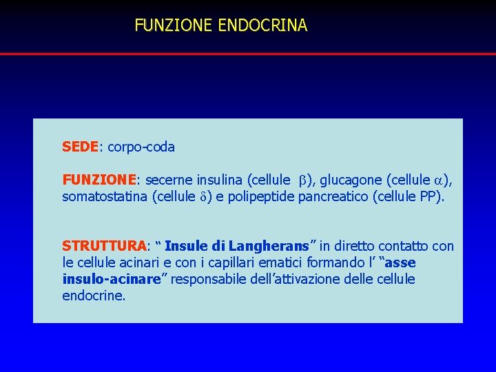 FUNZIONE ENDOCRINA SEDE: corpo-coda FUNZIONE: secerne insulina (cellule ), glucagone (cellule ), somatostatina (cellule FUNZIONE ENDOCRINA SEDE: corpo-coda FUNZIONE: secerne insulina (cellule ), glucagone (cellule ), somatostatina (cellule