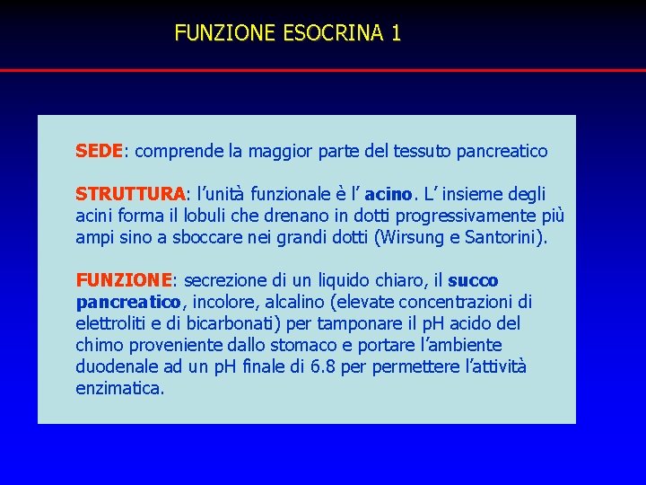 FUNZIONE ESOCRINA 1 SEDE: comprende la maggior parte del tessuto pancreatico STRUTTURA: l’unità funzionale FUNZIONE ESOCRINA 1 SEDE: comprende la maggior parte del tessuto pancreatico STRUTTURA: l’unità funzionale