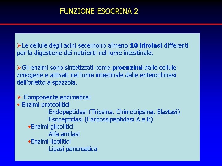 FUNZIONE ESOCRINA 2 ØLe cellule degli acini secernono almeno 10 idrolasi differenti per la