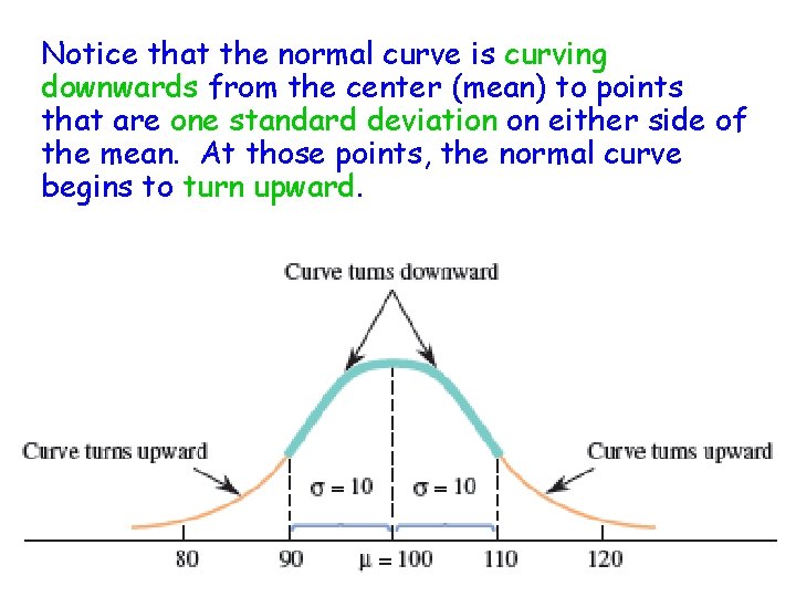 Notice that the normal curve is curving downwards from the center (mean) to points