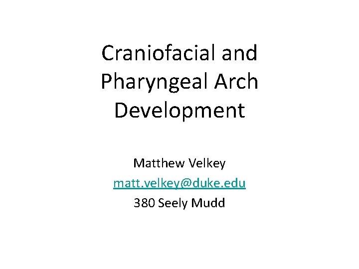 Craniofacial and Pharyngeal Arch Development Matthew Velkey matt. velkey@duke. edu 380 Seely Mudd 