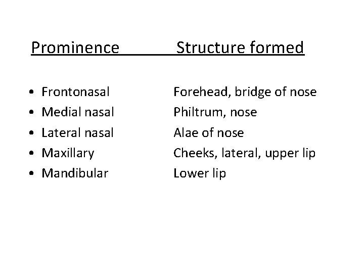 Prominence Structure formed • • • Forehead, bridge of nose Philtrum, nose Alae of