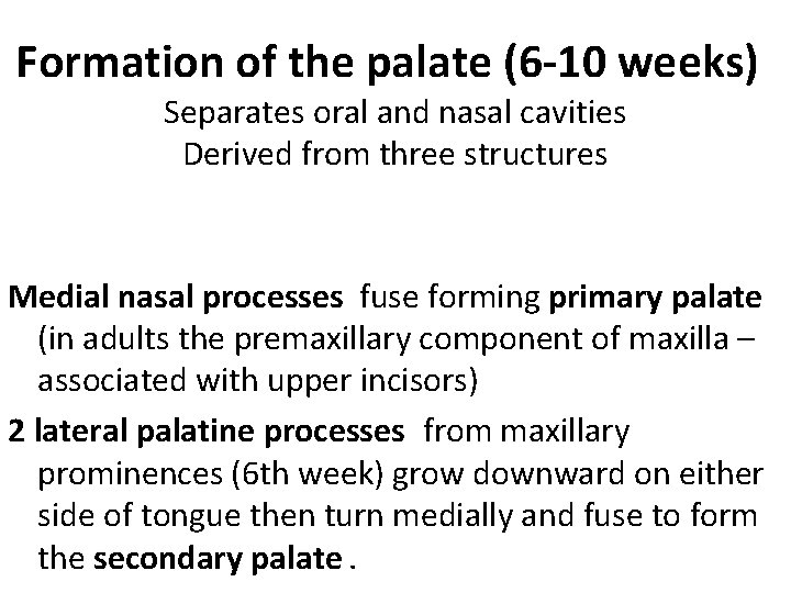 Formation of the palate (6 -10 weeks) Separates oral and nasal cavities Derived from