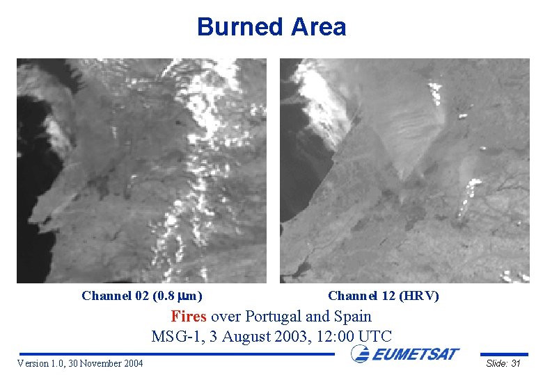 Burned Area Channel 02 (0. 8 m) Channel 12 (HRV) Fires over Portugal and