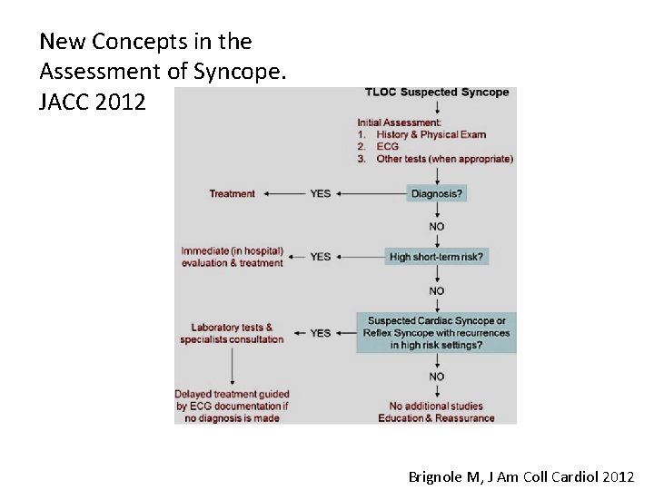 New Concepts in the Assessment of Syncope. JACC 2012 Brignole M, J Am Coll