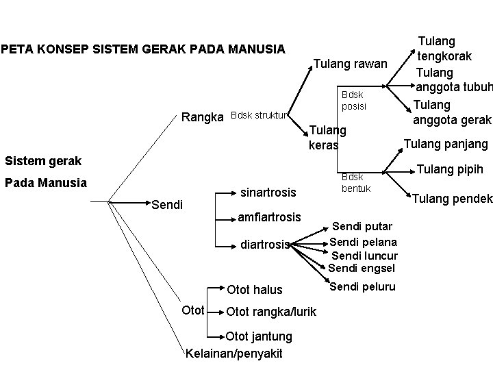 PETA KONSEP SISTEM GERAK PADA MANUSIA Tulang rawan Rangka Bdsk struktur Bdsk posisi PETA KONSEP SISTEM GERAK PADA MANUSIA Tulang rawan Rangka Bdsk struktur Bdsk posisi