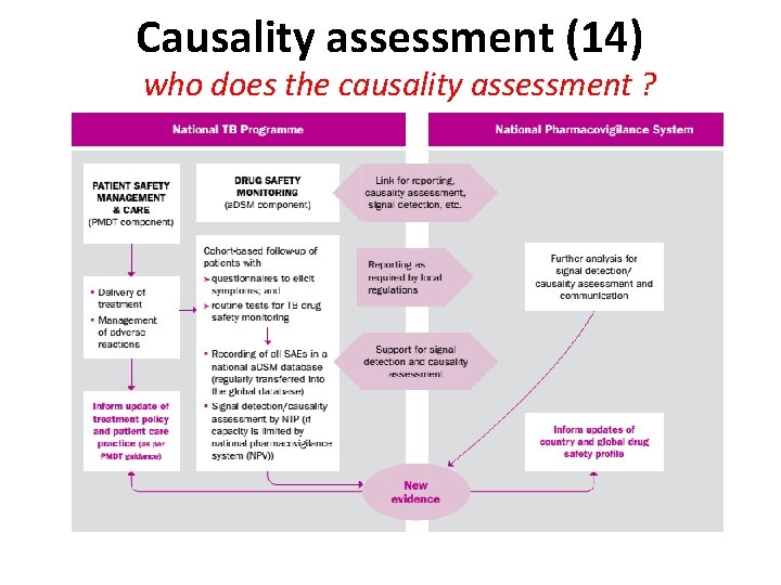 Causality assessment (14) who does the causality assessment ? 