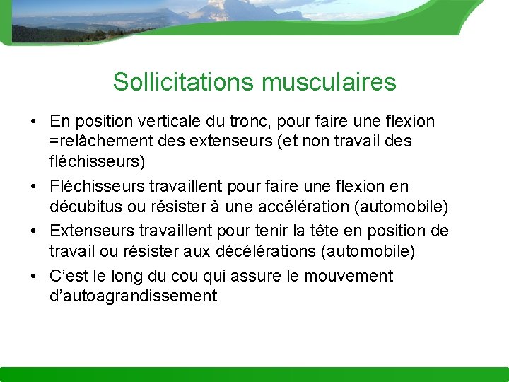Sollicitations musculaires • En position verticale du tronc, pour faire une flexion =relâchement des