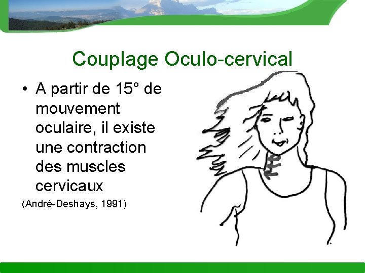 Couplage Oculo-cervical • A partir de 15° de mouvement oculaire, il existe une contraction