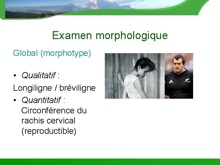 Examen morphologique Global (morphotype) • Qualitatif : Longiligne / bréviligne • Quantitatif : Circonférence