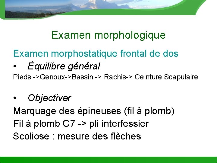 Examen morphologique Examen morphostatique frontal de dos • Équilibre général Pieds ->Genoux->Bassin -> Rachis->