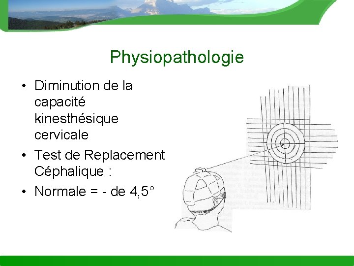 Physiopathologie • Diminution de la capacité kinesthésique cervicale • Test de Replacement Céphalique :