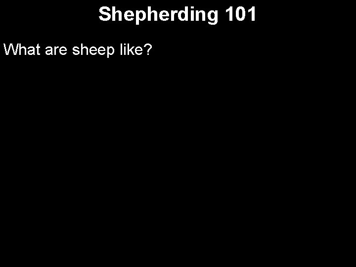 Shepherding 101 What are sheep like? 