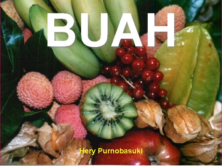 BUAH Hery Purnobasuki 