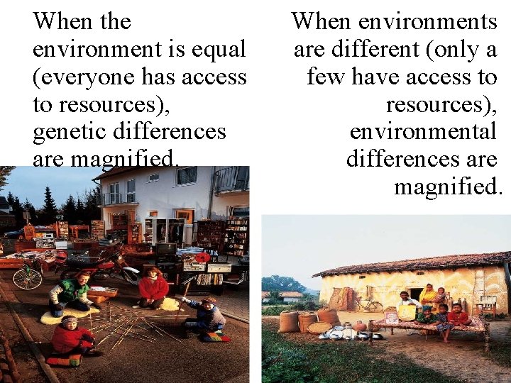When the environment is equal (everyone has access to resources), genetic differences are magnified.