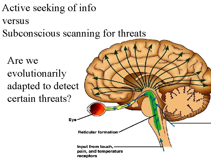 Active seeking of info versus Subconscious scanning for threats Are we evolutionarily adapted to