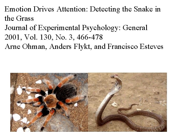 Emotion Drives Attention: Detecting the Snake in the Grass Journal of Experimental Psychology: General