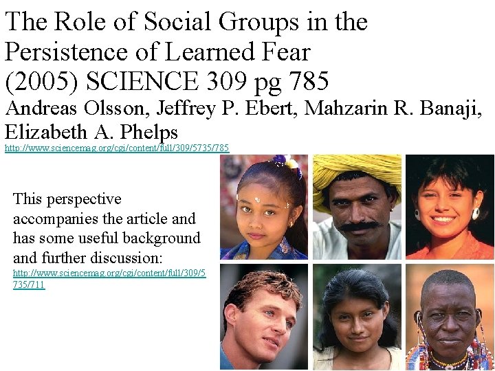 The Role of Social Groups in the Persistence of Learned Fear (2005) SCIENCE 309
