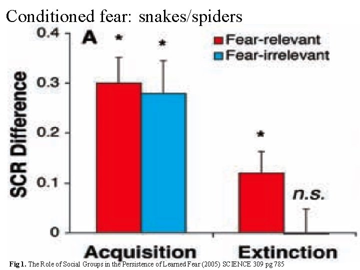 Conditioned fear: snakes/spiders Fig 1. The Role of Social Groups in the Persistence of