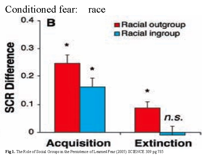 Conditioned fear: race Fig 1. The Role of Social Groups in the Persistence of