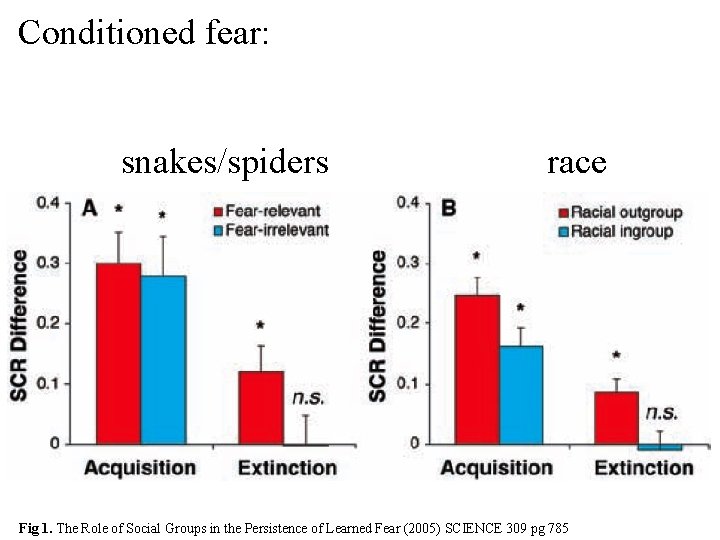 Conditioned fear: snakes/spiders race Fig 1. The Role of Social Groups in the Persistence
