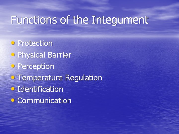 Functions of the Integument • Protection • Physical Barrier • Perception • Temperature Regulation