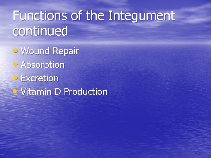 Functions of the Integument continued • Wound Repair • Absorption • Excretion • Vitamin