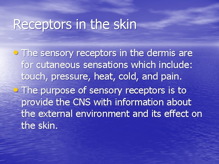 Receptors in the skin • The sensory receptors in the dermis are for cutaneous