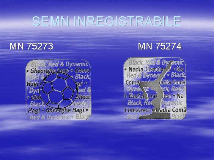SEMN INREGISTRABILE MN 75273 MN 75274 SEMN INREGISTRABILE MN 75273 MN 75274