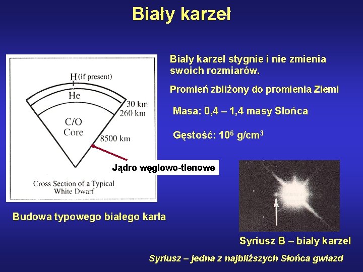 Biały karzeł stygnie i nie zmienia swoich rozmiarów. Promień zbliżony do promienia Ziemi Masa: