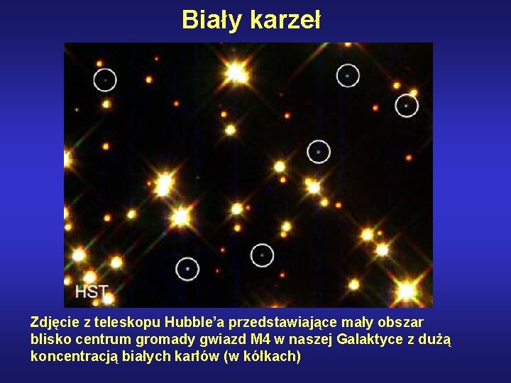 Biały karzeł Zdjęcie z teleskopu Hubble’a przedstawiające mały obszar blisko centrum gromady gwiazd M