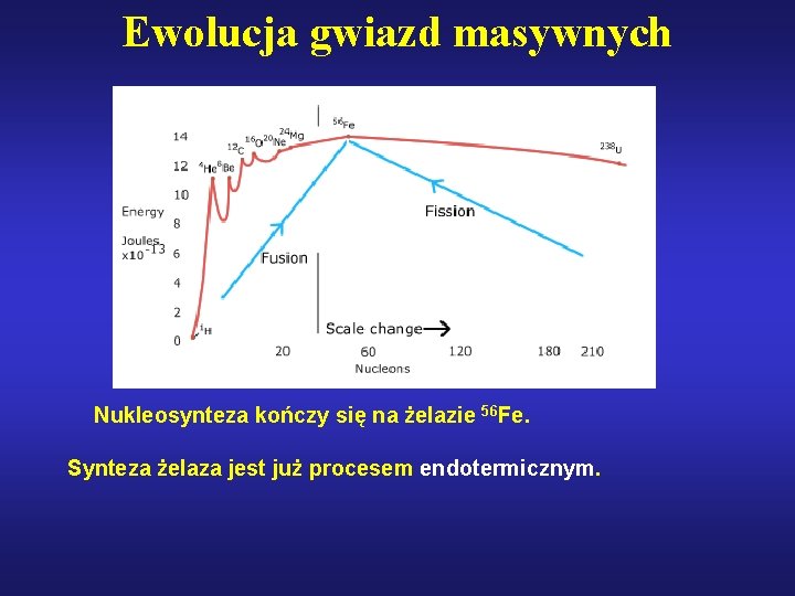 Ewolucja gwiazd masywnych Nukleosynteza kończy się na żelazie 56 Fe. Synteza żelaza jest już