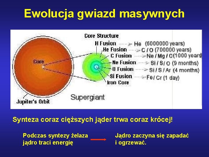 Ewolucja gwiazd masywnych Synteza coraz cięższych jąder trwa coraz krócej! Podczas syntezy żelaza jądro